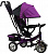 Велосипед детский трехколёсный  TSTX6588 
 - Цвет фиолетовый - интернет-магазин Bits-n-Bobs.ru